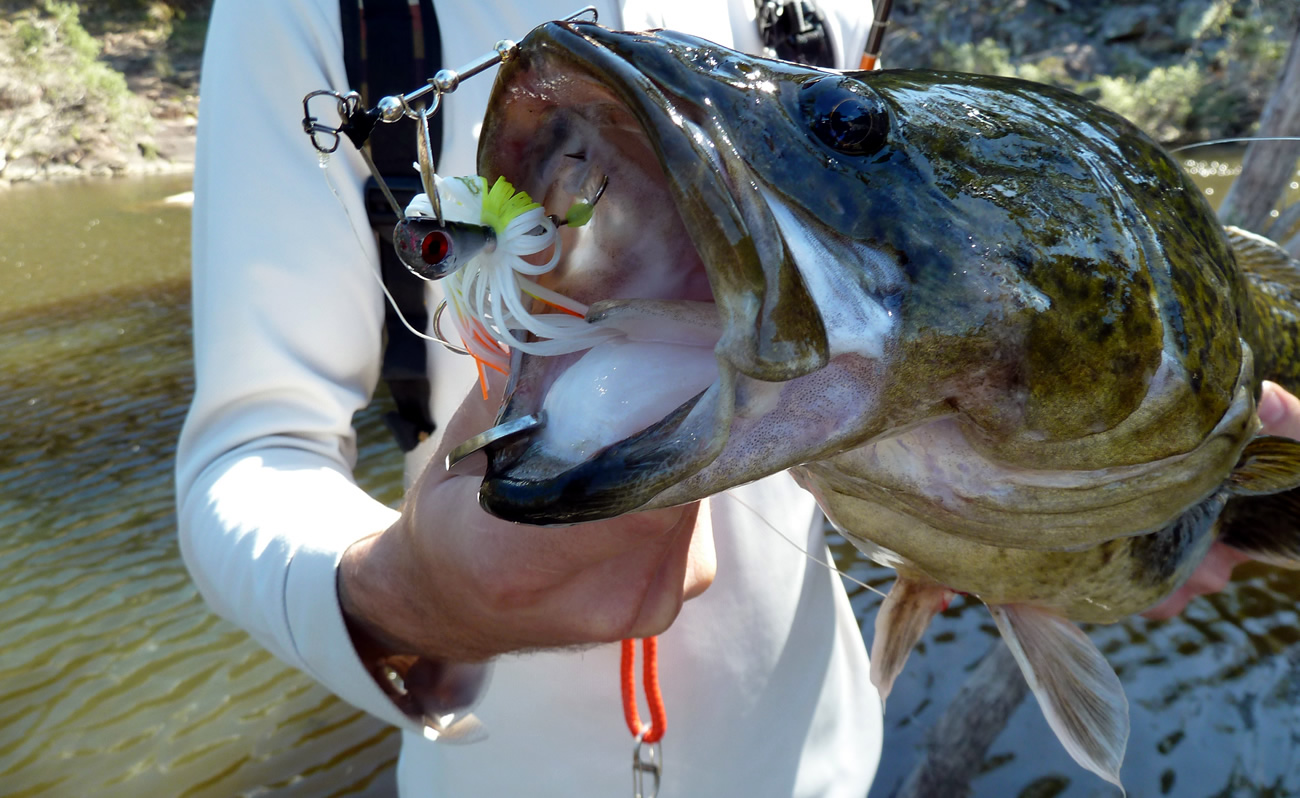 Lure fishing for cod is a blast