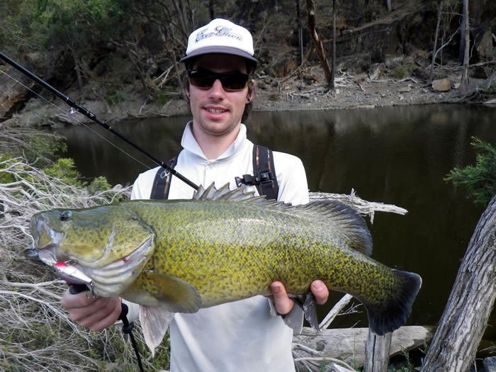 A Western Murray Cod caught in Tenterfield Creek