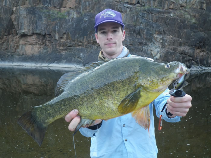 Good size Yellow Belly landed right here