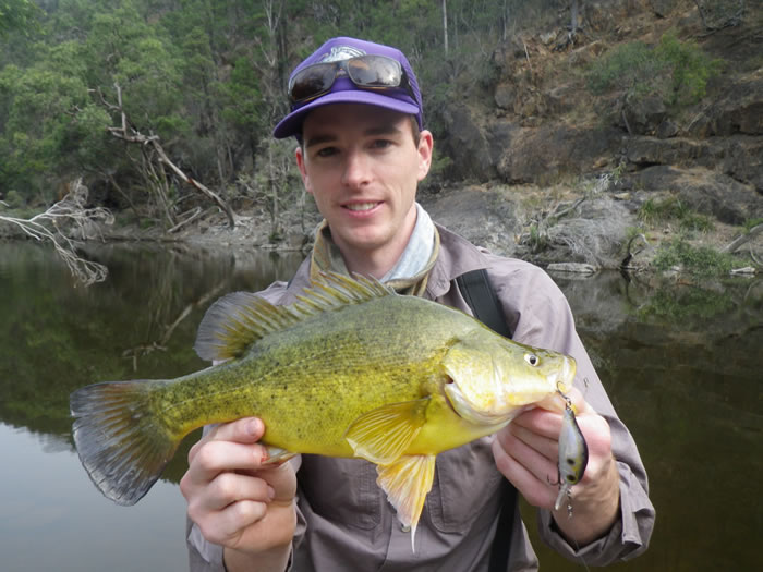 Another quality Yellow Belly for the record