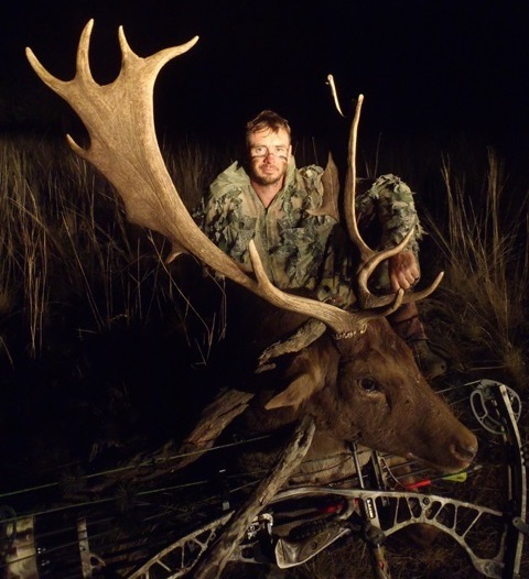 Brad's Moose - Rut 2016