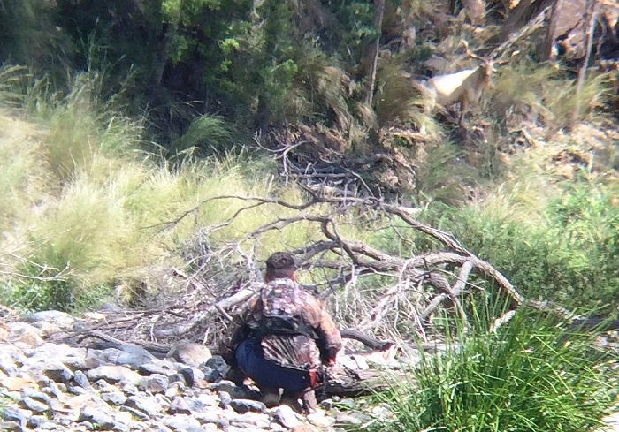 Paul Graveson stalking in on a trophy class billy
