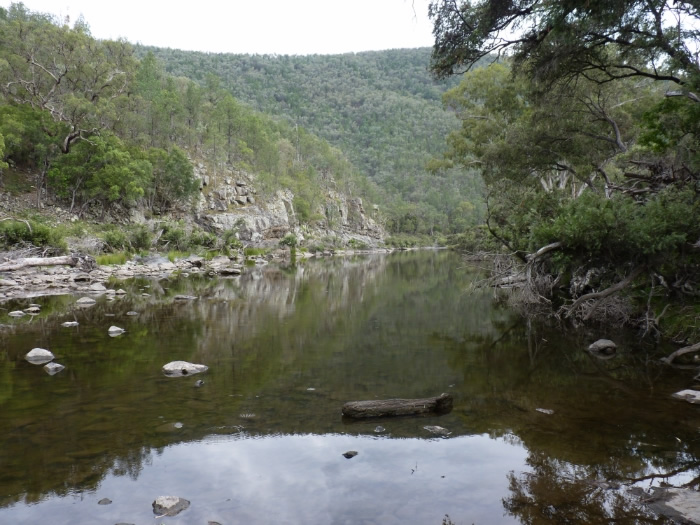 Tenterfield Creek runs through the middle of Jackals Hide