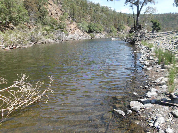 Sleepy Goanna fishing hole