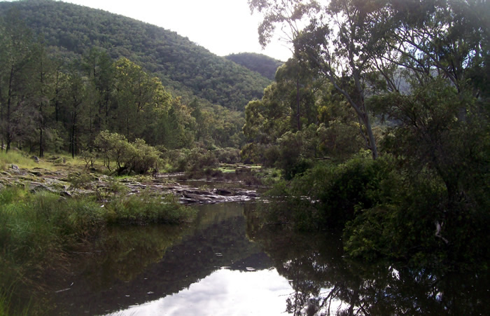 Plenty of watering holes can be found on Tenterfield Creek